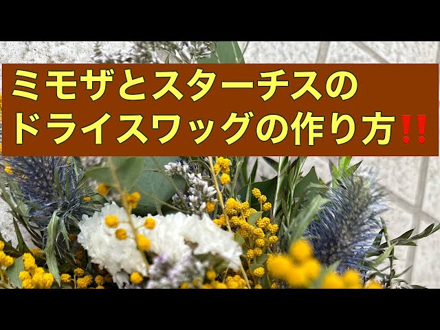 ミモザとスターチスのドライスワッグの作り方‼️#mimosa #wildflowers