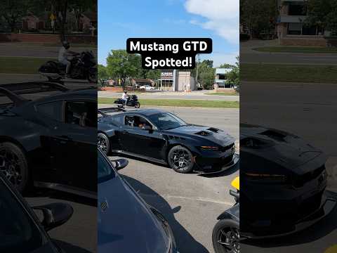 Gtd Mustang Spotted In The Wild Kid Goes Nuts Cars Mustang Gtd Gtd Mustang Spotted In The Wild Kid Goes Nuts Cars Mustang Gtd