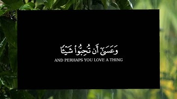 وعسى ان تحبوا شيئا وهو شر لكم وعسى أن تكرهوا شيئا وهو خير لكم سوره البقره #القرآن#تلاوة_خاشعة 
