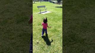 kitten running around at the park...