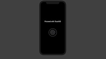 Designing SwiftUI Animation: Proceed with TouchID