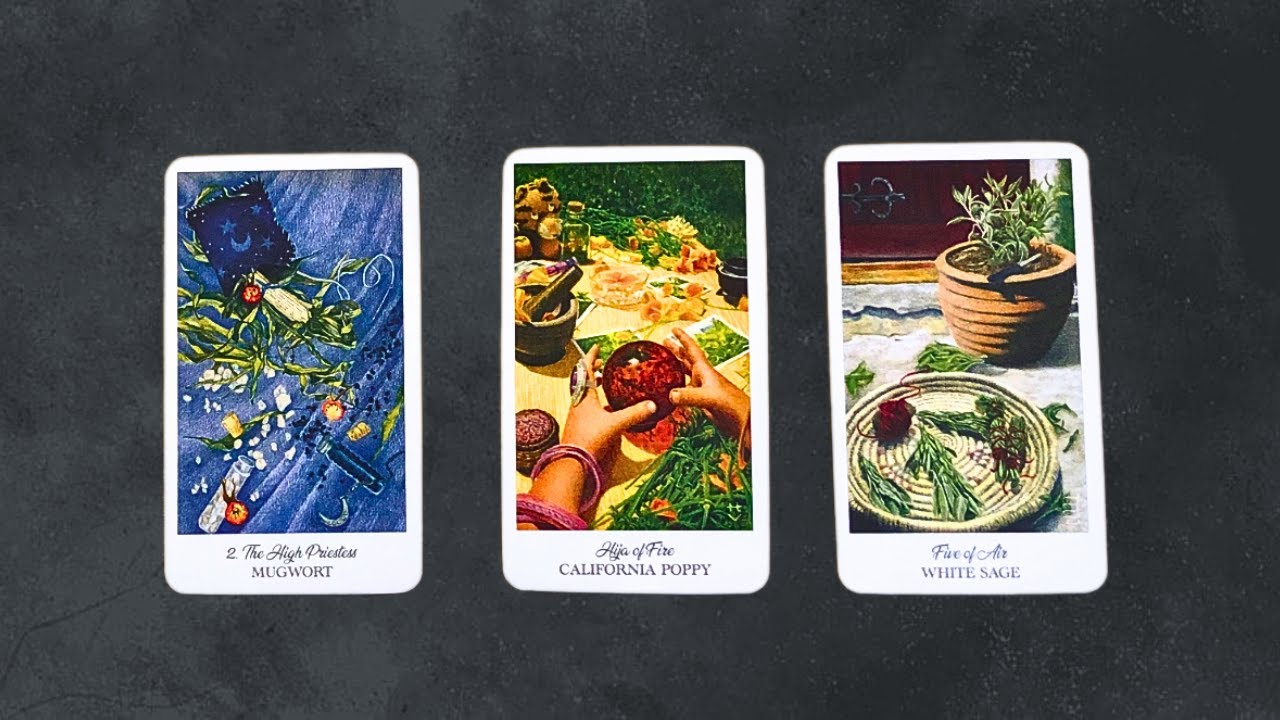 CẢM NHẬN CỦA NGƯỜI KHÁC GIỚI VỀ BẠN @ChubbyTarot TAROT READING