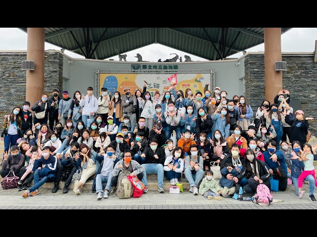 豆豆黃 - 活動紀錄