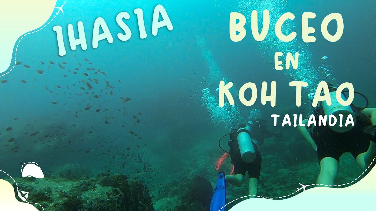 Buceando en Koh Tao, el paraíso del submarinismo - Tailandia 2025 🇹🇭 - Ep.5 4K