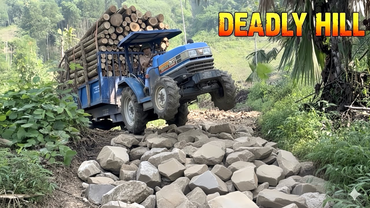 “Deadly Timber Haul Down the Mountains — A Breath-Stopping Descent”