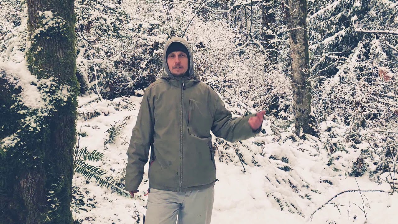 Top 10 can you tap big leaf maple trees DASHOFFER