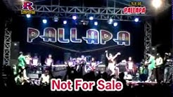 Minyak Wangi   Ayu Arista   New Pallapa Live In Ponggok Gondang   YouTube  - Durasi: 6.51. 