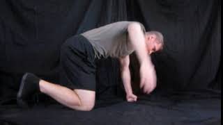 6 point zenith Joint Mobility