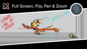 SyncSketch – Full Screen, Flip, Pan, and Zoom