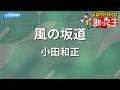 【カラオケ】風の坂道/小田和正