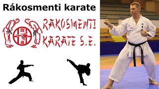 Rákosmenti karate SE