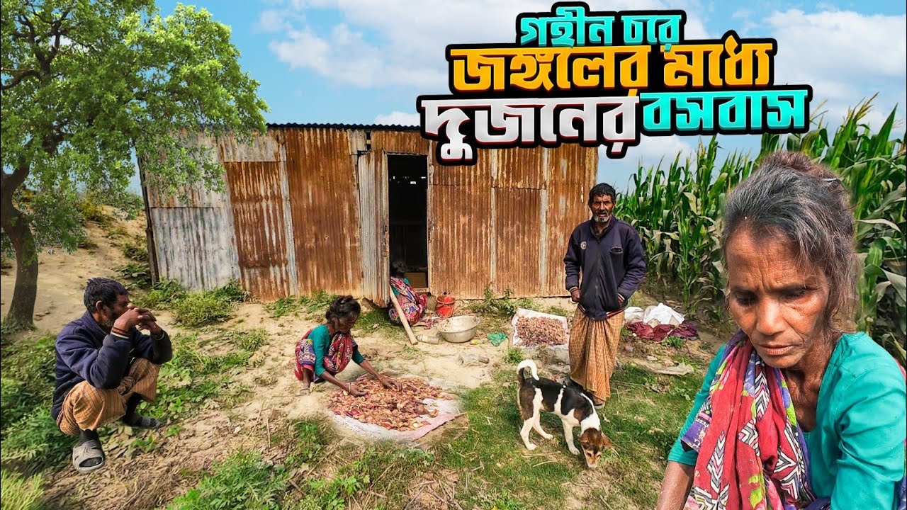 জয়পুর চরে গহীন জঙ্গলে দীর্ঘদিন যাবত,বসবাস করে আসছে প্রতি'বন্ধী স্বামী এবং চোখে কম দেখা স্ত্রী