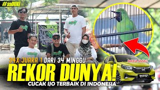 WORLD RECORD‼️ BEST CUCAK IJO 34x 1ST CHAMPION
