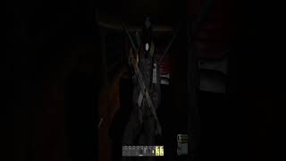 Горе водій в STALKER RP DayZ
