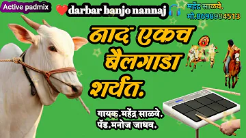 नाद एकच फक्त बैलगाडा शर्यत 💥 darbar banjo nannaj 🥁 Active padmix song 🎧