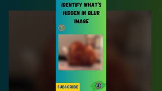 Can You See It? WHAT'S Behind THE Blurry Photos #quiz #eyes #focus #viral #trending #shorts #fyp #yt