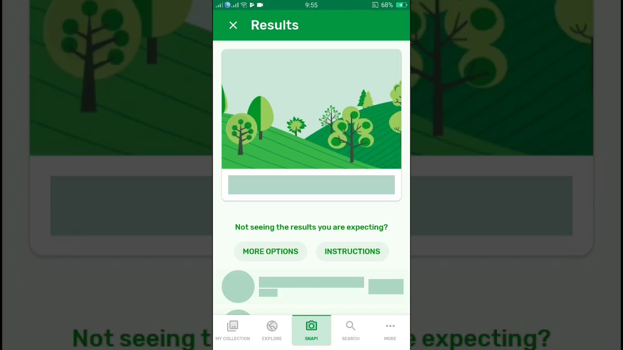 PlantSnap identifies a Woodland Figwort (Scrophularia nodosa)