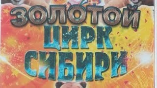 Гимнастка (Золотой Цирк Сибири "ШАПИТО")