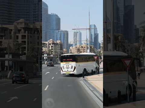 Dubai Mall #uae #1mviewers #travel #subscribe #dubai #viralvideo #love #song #dubailife