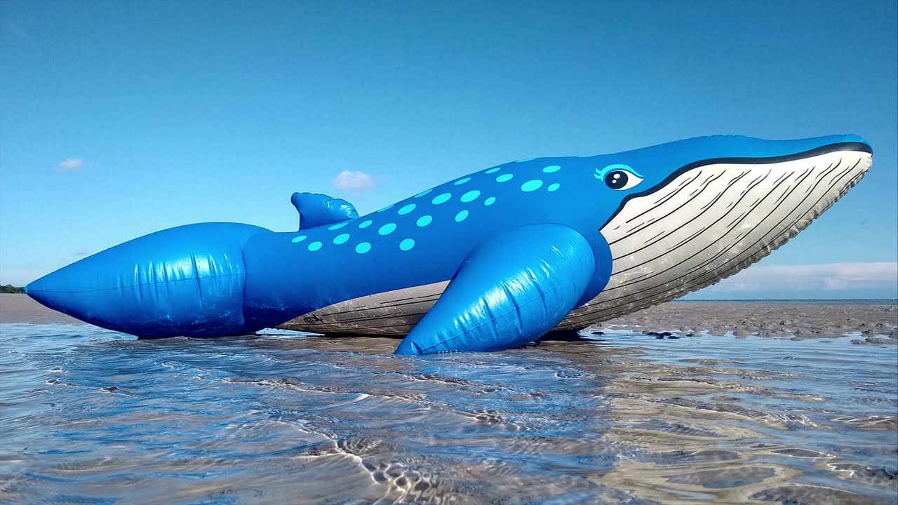 Classic 1990s inflatable blue whale rideon replica by Horseplay Toys YouTube