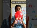 NCERT General Science in ODIA | Alveoli: Respiratory System | Competitive Exams #science #online