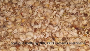 Sorting pistachio by AMVT Meyer NIR+RGB+Shape Optical Sorter