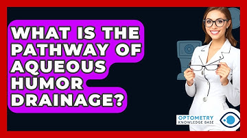What Is The Pathway Of Aqueous Humor Drainage? - Optometry Knowledge Base
