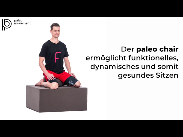 paleo chair – the functional sitting system 