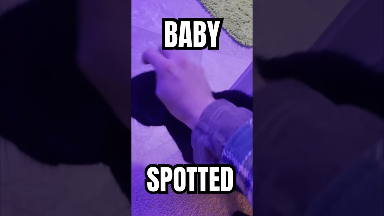 Me when cat||#cat #catshorts #fypシ