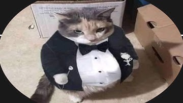 Agma.io - Selffeed Redbull / EU Best clips 100%