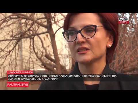 ცოტნეს მდგომარეობა, მართალია, ნელი ტემპით, მაგრამ დღითიდღე უმჯობესდება – ანა ჯაბაური