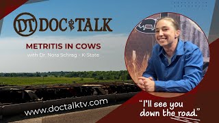 DocTalk Ep 359 - Metritis in Cows with Dr. Nora Schrag