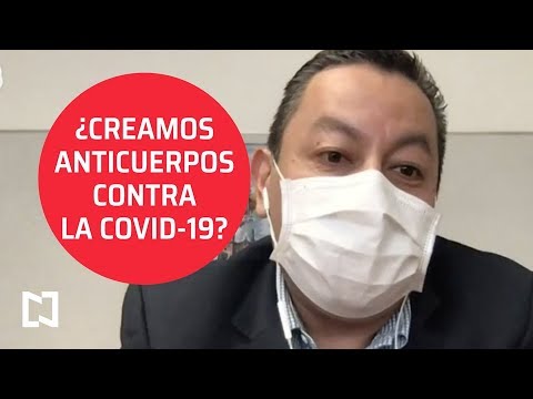 ¿Cómo saber si ya tuvimos la enfermedad COVID-19? - Las Noticias