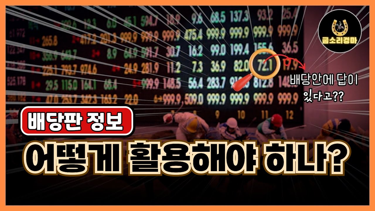 [경마] 모든 정보와 확률이 가장 정확히 반영된 배당판!! 어떻게 활용해야 할까?#경마#분석노하우#배당판흐름#굽소리경마