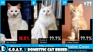 Top 40 Greatest Domestic Cat Breed of All Time | 2023 | G.O.A.T. - EP23 by Deja Lapp 10 views 8 months ago 3 minutes, 27 seconds