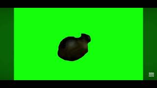 Uia uii ui aui/canción del gato