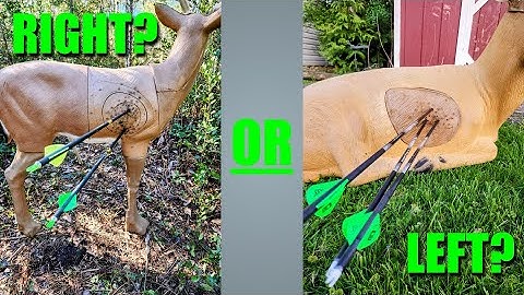 Right or Left fletch?! Which way to fletch your hunting arrows!