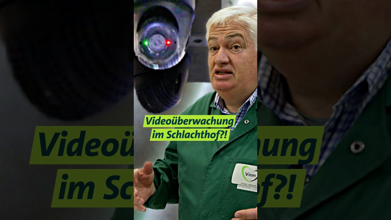 Videoüberwachung am Schlachthof für mehr Tierschutz #landwirtschaft #unserland #shorts