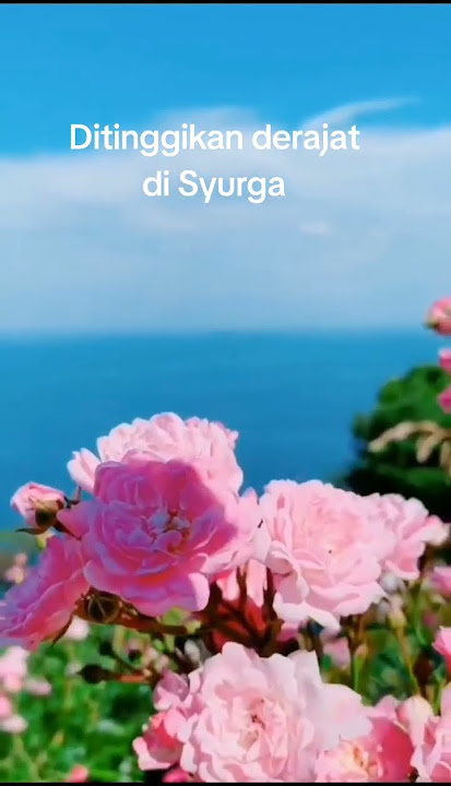Sebab ditinggikan derajat di Syurga #derajat #syurga #edukasi #motivasi #religion