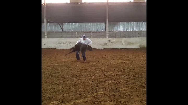 Tyler Nowlin calfroping