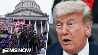 What's more popular among the GOP– Trump's $1.8B fund or 'poison ivy'? Scott MacFarlane weighs in