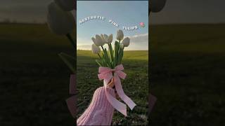 Aesthetic pink tulips wallpapers 🌷🩷#shorts #aestheticwallpapers #aesthetic #ytshorts #pink #tulip Aesthetic pink tulips wallpapers 🌷🩷#shorts #aestheticwallpapers #aesthetic #ytshorts #pink #tulip