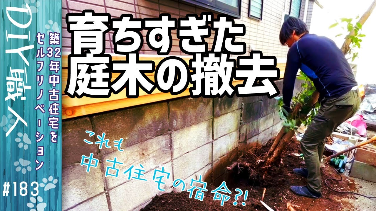 【中古】 木を植える人 職人がやるDIY】#183 育ちすぎた庭木を撤去する！ ～築32年中古住宅を