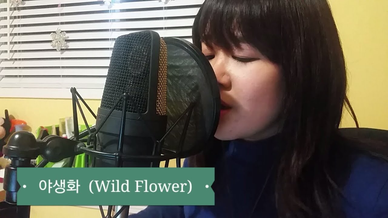 Abundantlee 박효신_야생화 (Cover) (Park hyo shin_Wild Flower ...