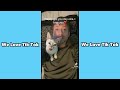 CUTE AND FUNNY CATS | TIKTOK COMPILATION