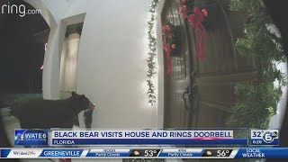CAUGHT ON CAMERA: Black bear rings doorbell at Florida house