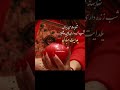 شب یلدای من تویی عشقم یلدا    عاشقانه 