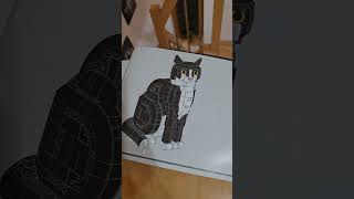 #viral #lego #cat #meme #fun