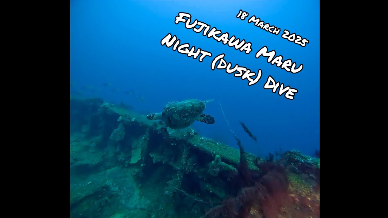Fujikawa Maru - Night (Dusk) Dive (18 March 2025)