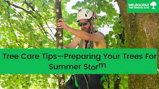 Tree Care Tips—Preparing Your Trees For Summer Storms - Melbourne Tree Removal Guys